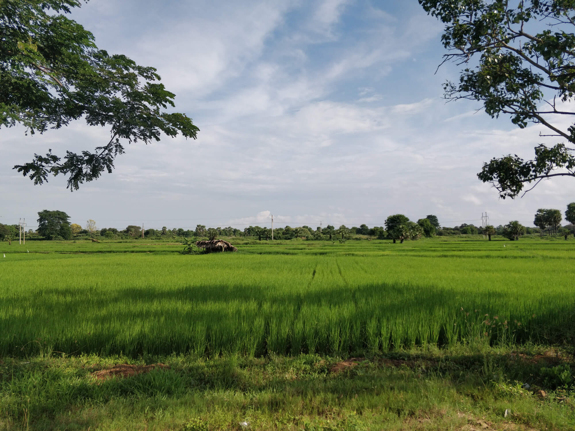 sur la route entre Mandalay et Bagan