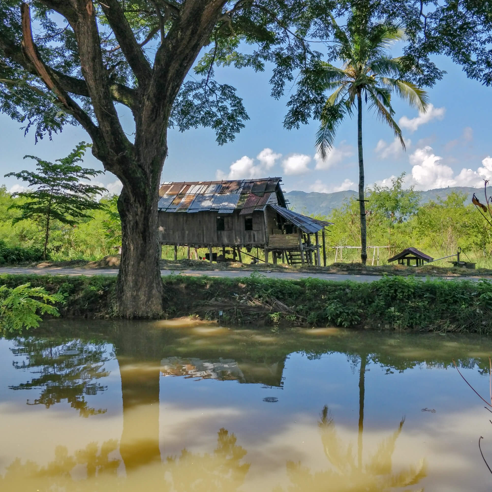 la vue depuis notre hôtel de Nyaung Shwe au nord du lac Inle
