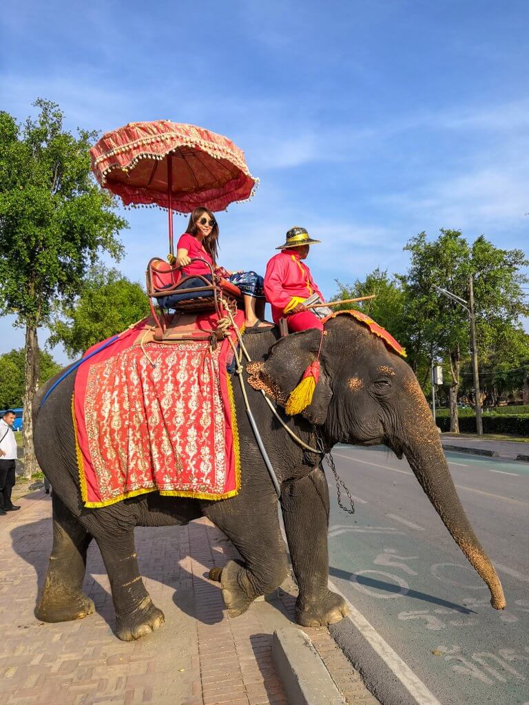 un éléphant en Thaïlande