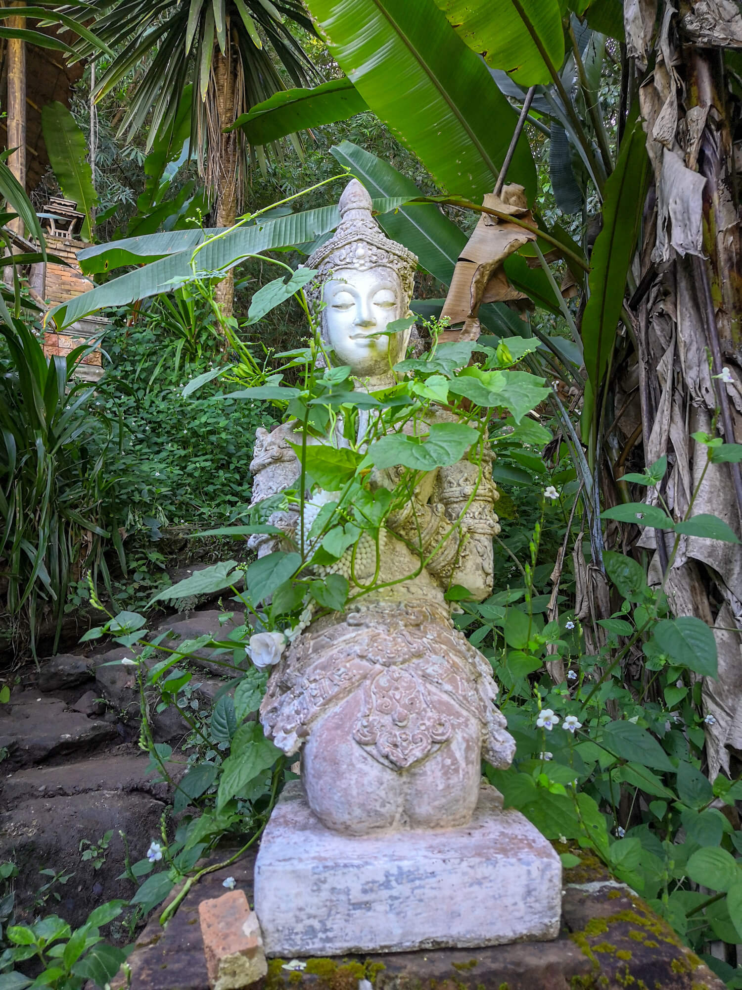 bouddha en descendant de doi suthep