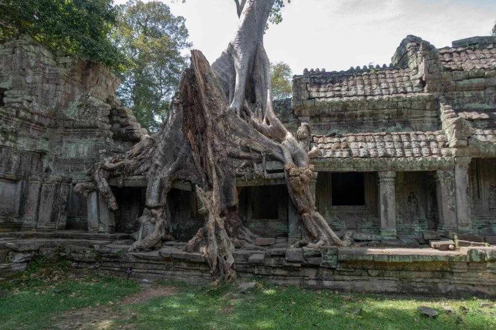 le temple Preah Khan sur le grand tour de visite d'Angkor