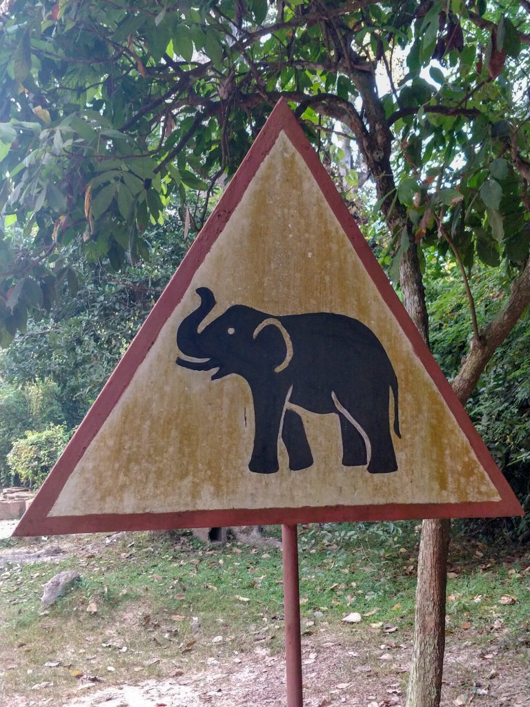 un panneau annonçant le passage d'éléphants à Angkor