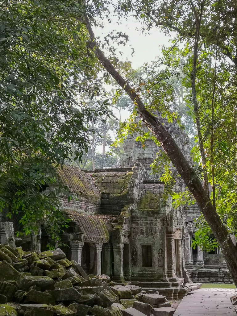 le temple Ta Prohm sur le petit tour à Angkor