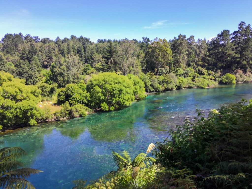 La rivière Waikato