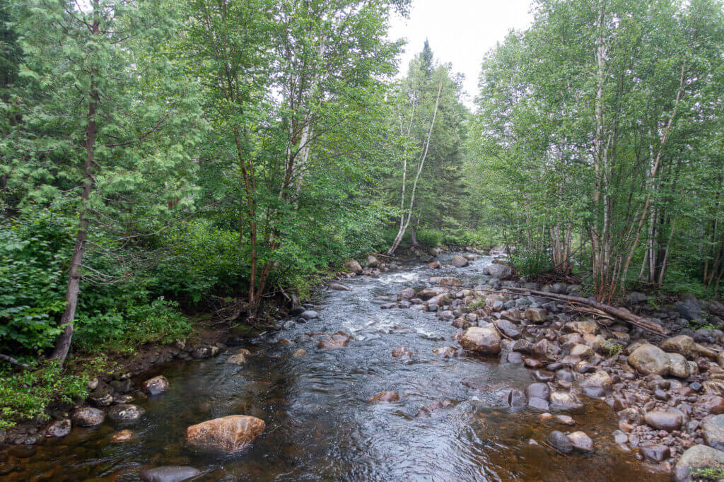 la rivière, une source d'eau non potable en longue randonnée