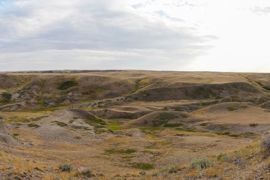 Vue depuis les Broken Hills dans le bloc ouest du parc des Prairies de la Saskatchewan