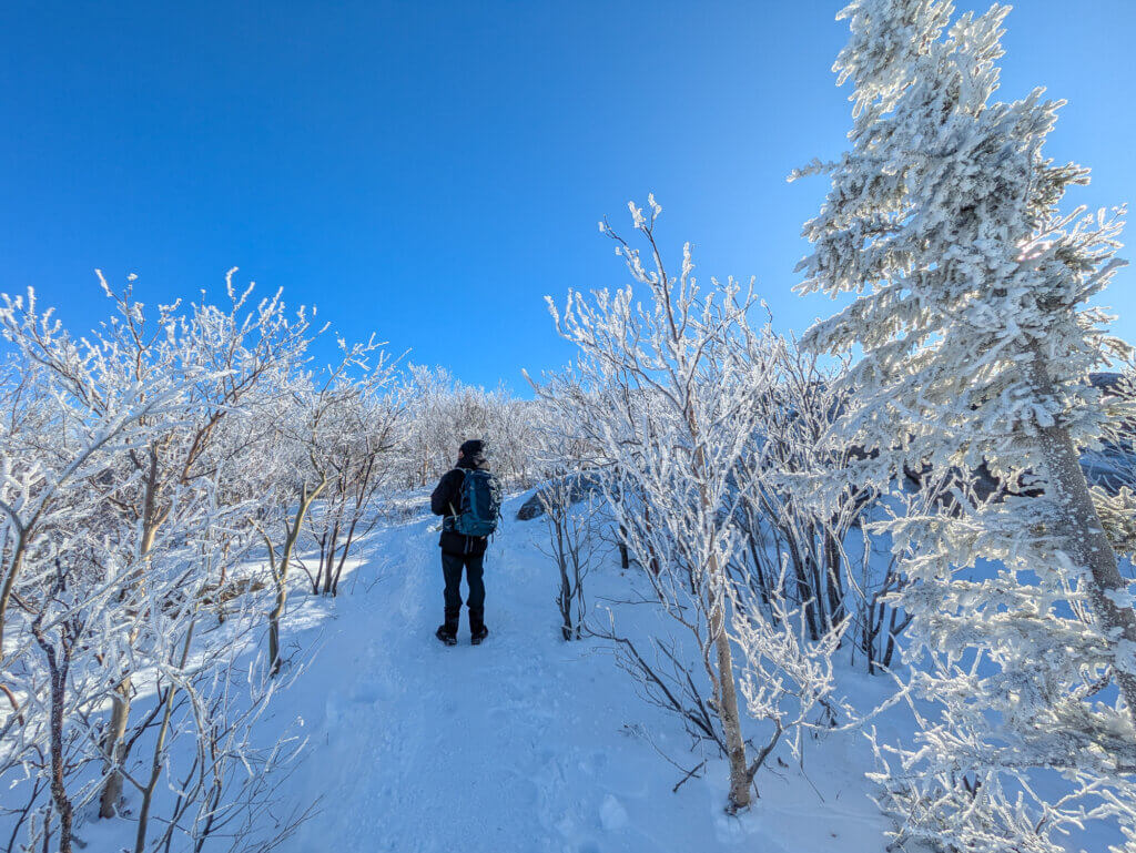 le sentier du mont du lac des cygnes en hiver